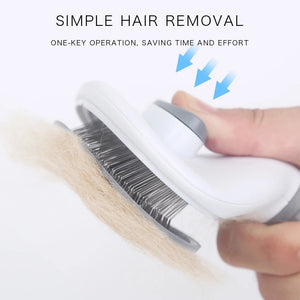 Stainless Steel Self Cleaning Brush