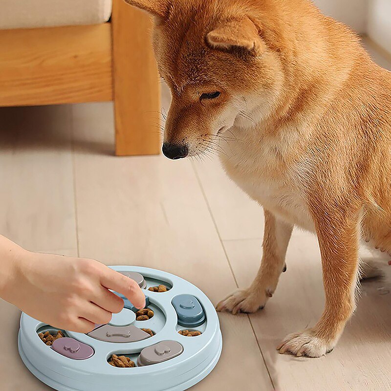 Pet Feeder Educational Toys