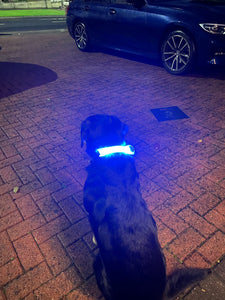 LED Light Up Collar Attachment